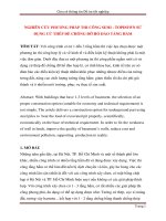 Nghiên cứu phương pháp thi công SEMI TOPDOWN sử dụng cừ thép để chống đỡ hố đào tầng hầm