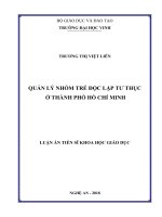 Quản lý nhóm trẻ độc lập tư thục ở Thành phố Hồ Chí Minh (Luận án tiến sĩ)