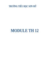 BOI DUONG THUONG XUYEN MODULE TH 12 LẬP KẾ HOẠCH DẠY HỌC TÍCH HỢP CÁC NỘI DUNG GIÁO DỤC Ở TIỂU HỌC