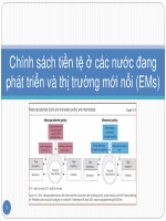 MPP2019 512 l21v chinh sach tien te o cac nuoc dang phat trien va thi truong moi noi  chau van thanh 2018 01 05 08375442 