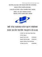 Khảo sát quy trình nước ngọt có gas