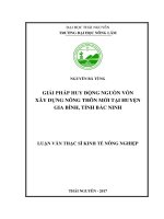 Giải pháp huy động nguồn vốn phục vụ xây dựng nông thôn mới huyện Gia Bình, tỉnh Bắc Ninh (Luận văn thạc sĩ)