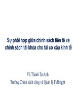 MPP2019 512 l23v  chinh sach tai khoa va tien te voi tong cau  vu thanh tu anh (2) 2018 01 17 16173105 