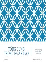 Kinh tế vĩ mô 2 chuong 6   tong cung trong ngan han 