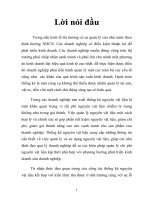 tieu luan công tác thống kê phân tích sử dụng nguyên vật liệu ở việt nam