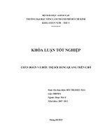 CHẨN ĐOÁN VÀ ĐIỀU TRỊ SỎI BÀNG QUANG TRÊN CHÓ