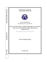 Bảo vệ người sử dụng lao động theo quy định của pháp luật lao động việt nam và thực tiễn thực hiện trên địa bàn hưng yên 
