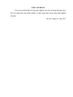 Tìm hiểu công tác tổ chức giải quyết văn bản đi ở Hội đồng nhân dân Ủy ban nhân dân huyện Hữu Lũng tỉnh Lạng Sơn thực trạng và giải pháp