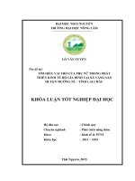 Tìm hiểu vai trò của phụ nữ trong phát triển kinh tế hộ gia đình tại xã Vàng san – Huyện Mường Tè – Tỉnh Lai Châu (Khóa luận tốt nghiệp)