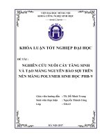 Nghiên cứu nuôi cấy tăng sinh và tạo màng nguyên bào sợi trên nền màng polymer sinh học PHB v 