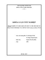 Nghiên cứu điều kiện lên men và thu hồi một số hoạt chất sinh học của chủng nấm cordyceps militaris FNA5 