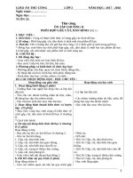 Giáo án Thủ công lớp 2 Tuan 23