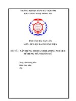 Báo cáo dữ liệu đa phương tiện  Xây dựng media streaming sever
