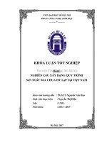 Nghiên cứu xây dựng quy trình sản xuất sữa chua hy lạp tại việt nam 