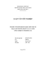 TÌM HIỂU TÌNH HÌNH BỆNH MAREK TRÊN MỘT SỐ TRẠI GÀ ĐẺ THƯƠNG PHẨM VÀ GÀ TA NUÔI CÔNG NGHIỆP Ở TỈNH ĐỒNG NAI