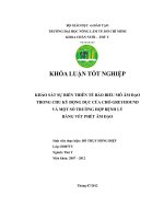 KHẢO SÁT SỰ BIẾN THIÊN TẾ BÀO BIỂU MÔ ÂM ĐẠO TRONG CHU KỲ ĐỘNG DỤC CỦA CHÓ GREYHOUND VÀ MỘT SỐ TRƯỜNG HỢP BỆNH LÝ BẰNG VẾT PHẾT ÂM ĐẠO