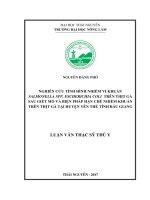 Nghiên cứu tình hình nhiễm vi khuẩn Salmonela spp, E. coli trên thịt gà sau giết mổ và biện pháp hạn chế nhiễm khuẩn trên thịt gà tại huyện Yên Thế, tỉnh Bắc Giang (Luận văn thạc sĩ)