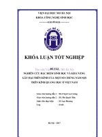 Nghiên cứu đặc điểm sinh học và khả năng gây hại trên kính của một số chủng nấm sợi trên kính quang học ở việt nam 