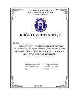 Nghiên cứu đánh giá huyết tương giàu tiểu cầu , dịch chiết nguyên bào sợi đến khả năng tăng sinh và di cư của tế bào gốc biểu mô màng ối 