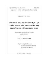 Đánh giá hiệu quả cắt chọn lọc thần kinh chày trong điều trị di chứng co cứng cơ chi dưới (Luận án tiến sĩ)