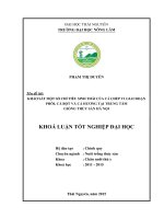 Khảo sát một số chỉ tiêu sinh thái của cá Chép V1 giai đoạn phôi, cá bột và cá hương tại Trung Tâm giống Thủy sản Hà Nội (Khóa luận tốt nghiệp)