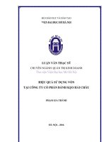 Hiệu quả sử dụng vốn tại công ty cổ phần bánh kẹo hải châu 