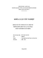 KHẢO SÁT SỨC SINH SẢN CỦA MỘT SỐ NHÓM GIỐNG HEO NÁI LAI TẠI TRẠI CHĂN NUÔI HEO XUÂN ĐỊNH