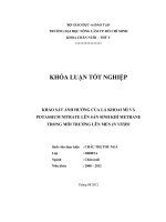 KHẢO SÁT ẢNH HƯỞNG CỦA LÁ KHOAI MÌ VÀ POTASSIUM NITRATE LÊN SẢN SINH KHÍ METHANE TRONG MÔI TRƯỜNG LÊN MEN IN VITRO