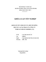 KHẢO SÁT SỨC SINH SẢN CỦA MỘT SỐ GIỐNG HEO NÁI LAI TẠI TRẠI I CỦA CÔNG TY TNHH SAN MIGUEL HORMEL (VN)
