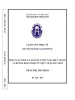 Pháp luật thuế tài nguyên ở việt nam   thực trạng và hướng hoàn thiện từ thực tế quảng ninh 