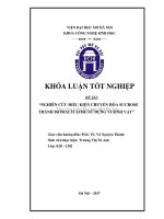 Nghiên cứu điều kiện chuyển hóa sucrose thành isomaltulose sử dụng vi sinh vật 