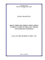 Hoàn thiện hệ thống nhân giống vi thủy canh cây hoa cúc trắng (Chrysanthemum morifolium) (Luận án tiến sĩ)