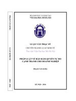 Pháp luật về bảo đảm quyền tự do cạnh tranh cho doanh nghiệp 