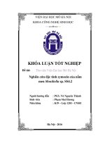 Nghiên cứu đặc tính zymocin của nấm men moniliella sp  SS4 2 