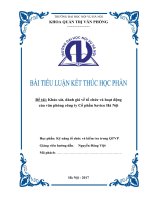 Khảo sát, đánh giá về tổ chức và hoạt động của văn phòng công ty Cổ phần Savico Hà Nội