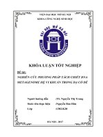 Nghiên cứu phương pháp tách chiết DNA metagenome hệ vi khuẩn trong dạ cỏ dê 