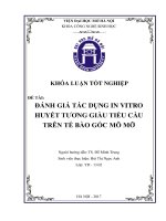 Đánh giá tác dụng in vitro huyết tương giàu tiểu cầu trên tế bào gốc mô mỡ 
