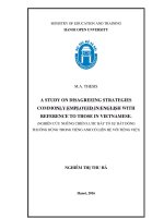a study on disagreeing strategies commonly employed in english with reference to those in vietnamese  