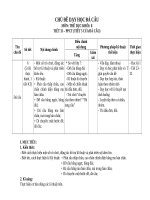 CHU DE DAY HOC TD   DA CAU