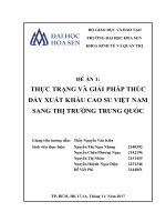 Thực trạng và giải pháp thúc đẩy xuất khẩu cao su Việt Nam sang thị trường Trung Quốc