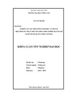 Nghiên cứu đặc điểm nông sinh học và một số biện pháp kỹ thuật đối với giống hồng không hạt Pác Bó tại huyện Hà Quảng, tỉnh Cao Bằng (Khóa luận tốt nghiệp)
