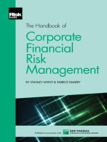 The handbook of corporate financial risk management 