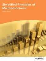Simplified principles of microeconomics 