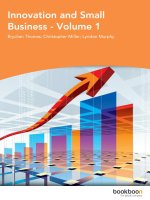 Innovation and small business   volume 1 