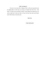 Nghiên cứu giải pháp nâng cao chất lượng công tác đào tạo và phát triển nguồn nhân lực tại công ty cổ phần  Prime Đại Việt - Vĩnh Phúc