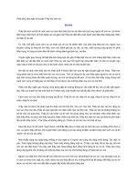 Phát biểu cảm nghĩ về truyện thầy bói xem voi