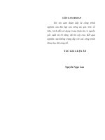 Phát triển kinh tế tư nhân ở tỉnh Quảng Ninh (Luận án tiến sĩ)