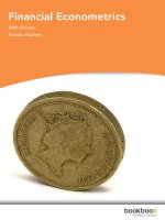 Financial econometrics 