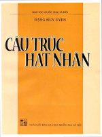 CÁC DẠNG CẤU TRÚC HẠT NHÂN