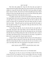 GIẢI PHÁP PHÁT TRIỂN CHUỖI GIÁ TRỊ SẢN PHẨM TRÂU THỊT ĐIỆN BIÊN